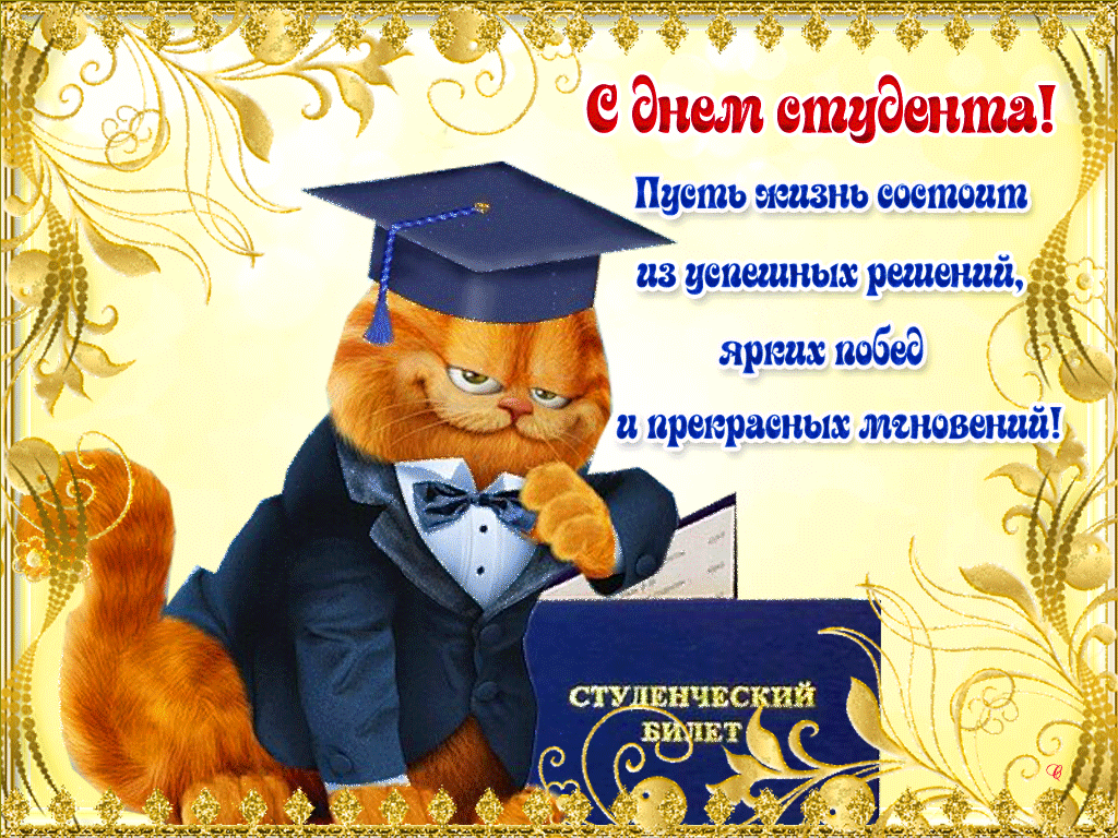 160 картинок с Днем студента 2023. Гифки