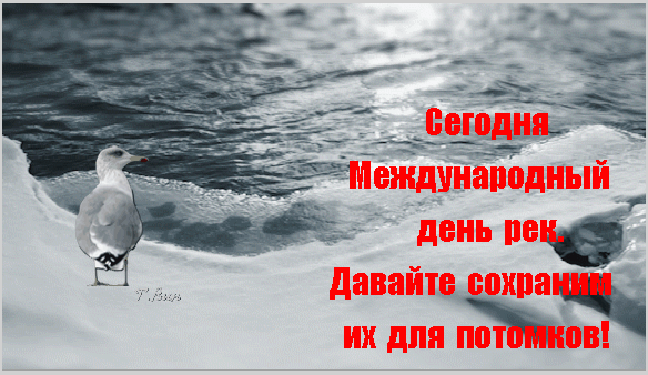 Картинки с Международным днем рек (30 открыток). Гифки