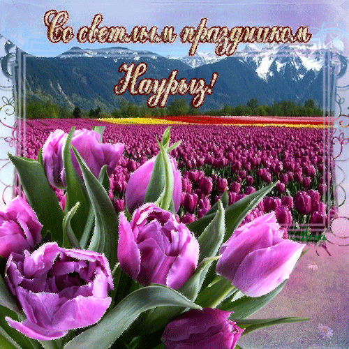 Картинки с праздником Навруз (120 открыток). Гифки
