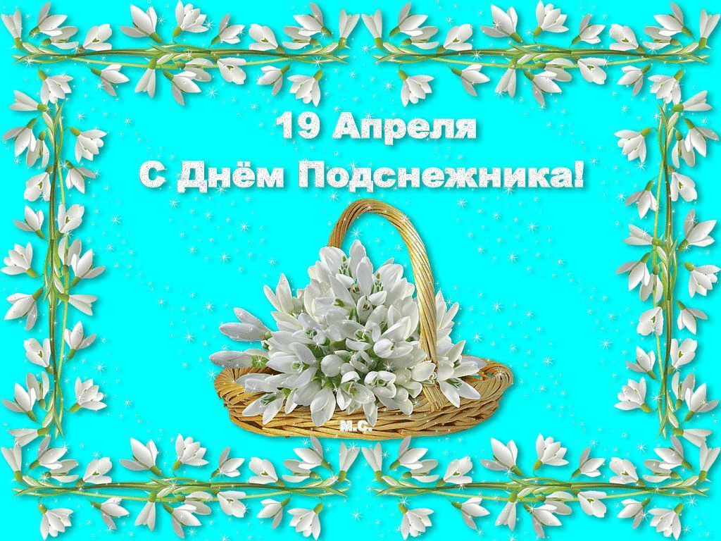Картинки с Днем подснежника (70 открыток). Гифки
