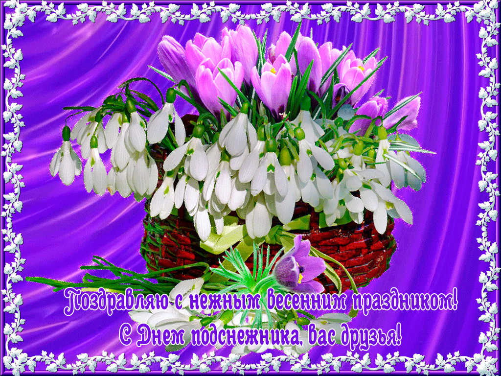Картинки с Днем подснежника (70 открыток). Гифки