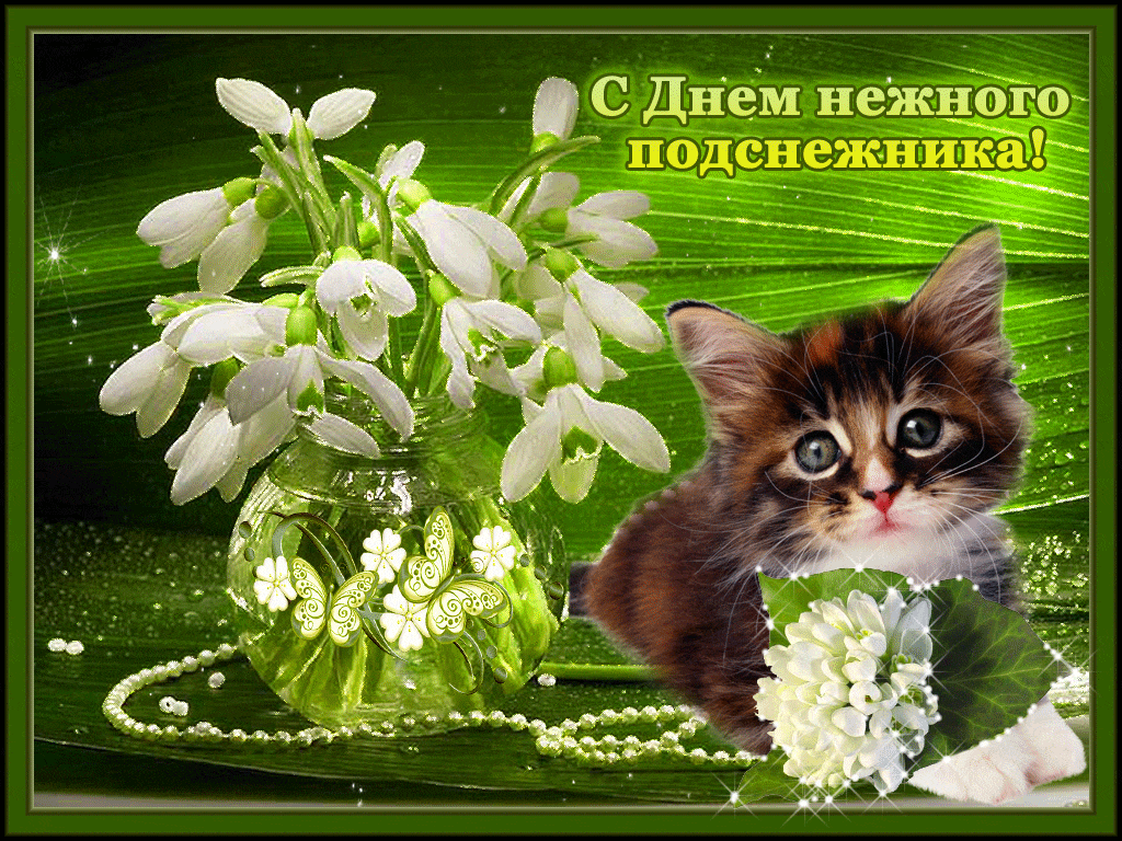 Картинки с Днем подснежника (70 открыток). Гифки