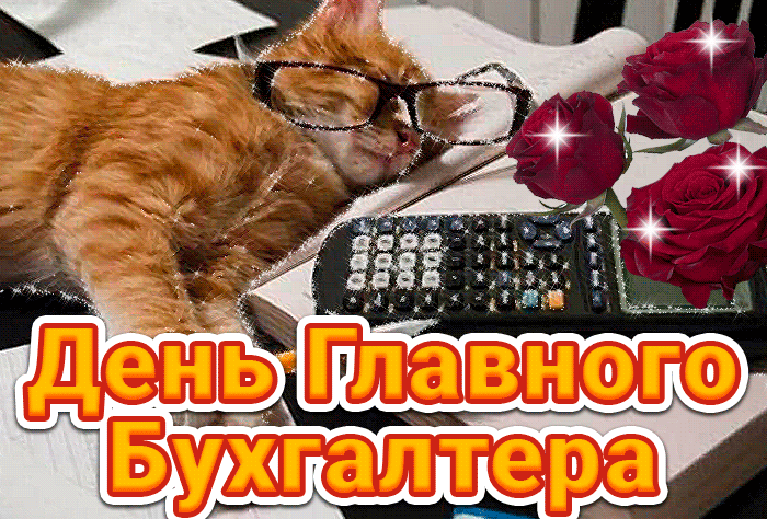 Картинки с Днем главного бухгалтера (45 открыток). Гифки