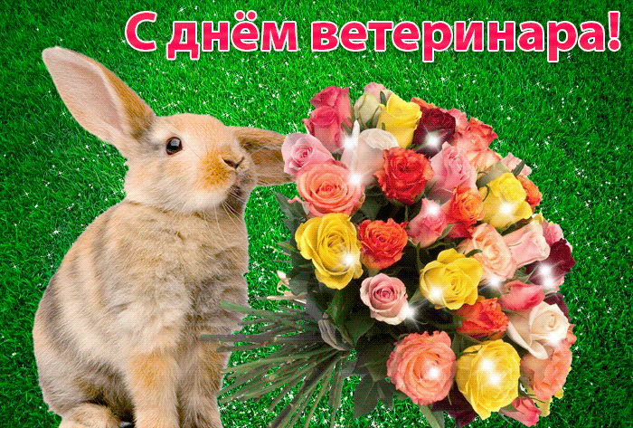 Картинки с Международным днем ветеринарного врача (75 открыток). Гифки