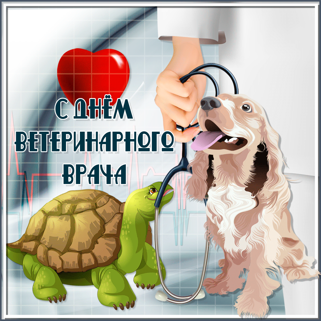 Картинки с Международным днем ветеринарного врача (75 открыток). Гифки