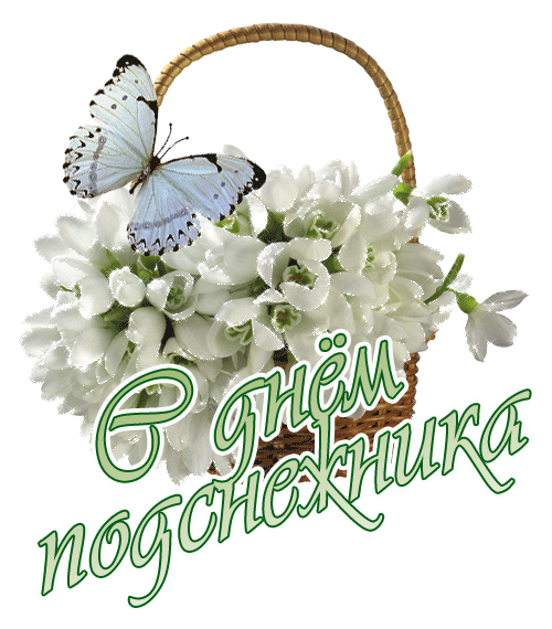 Картинки с Днем подснежника (70 открыток). Гифки