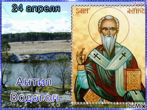 Картинки на Антипа Водогона (13 открыток). Гифки