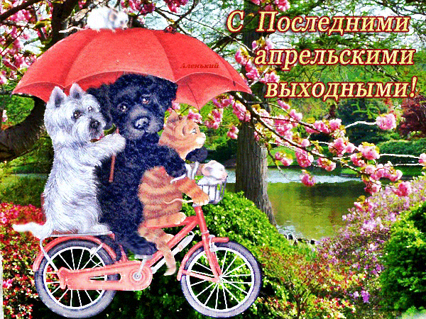 Картинки с последним днем апреля (30 открыток). Гифки
