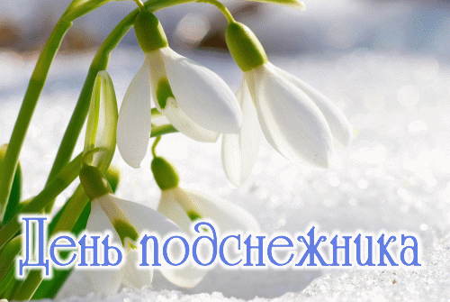 Картинки с Днем подснежника (70 открыток). Гифки