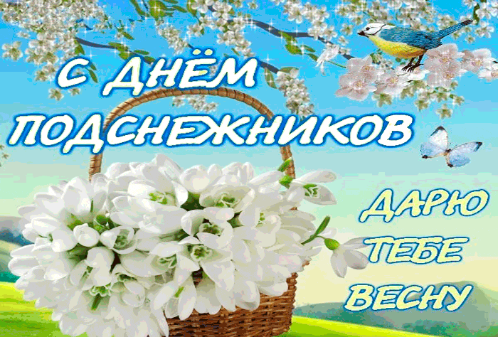 Картинки с Днем подснежника (70 открыток). Гифки