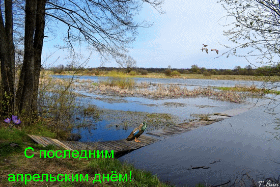 Картинки с последним днем апреля (30 открыток). Гифки