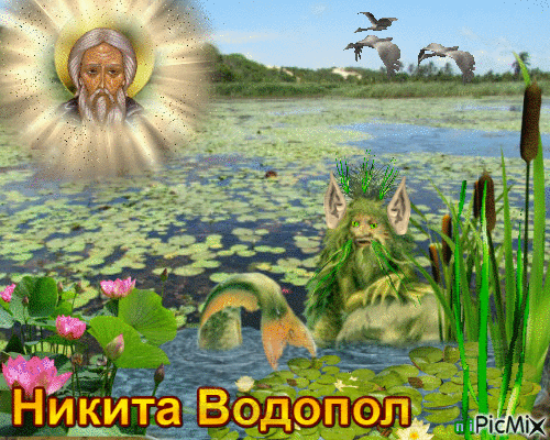 Картинки с Никитой Водополом (25 открыток). Гифки