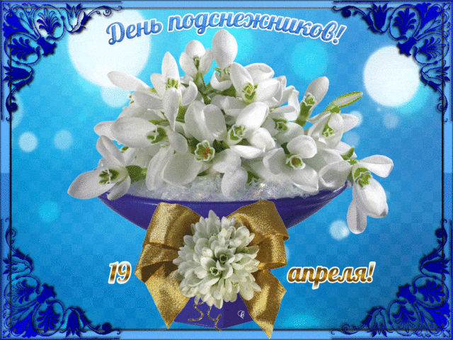 Картинки с Днем подснежника (70 открыток). Гифки