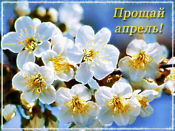 Картинки с последним днем апреля (30 открыток). Гифки