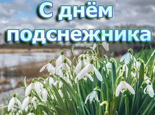 Картинки с Днем подснежника (70 открыток). Гифки