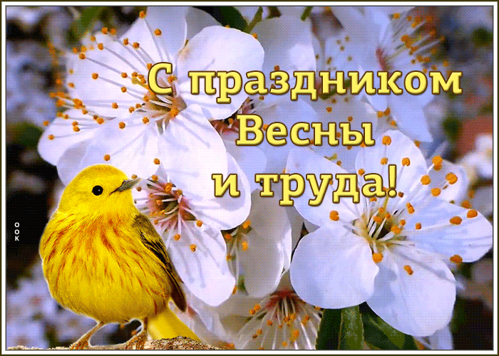 Картинки с 1 мая (195 открыток). Анимированные гифки на 1 мая