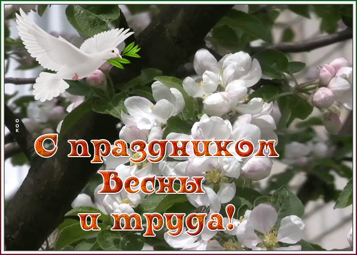 Картинки с 1 мая (195 открыток). Анимированные гифки на 1 мая