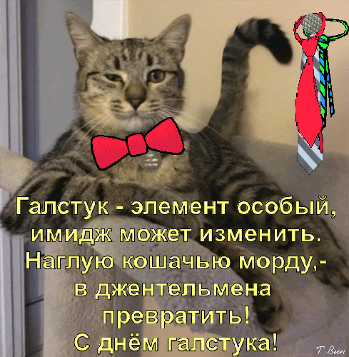 Картинки и открытки с Днем галстука. Гифки с Днём галстука