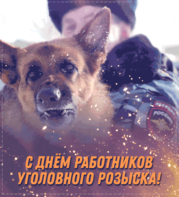 Картинки и открытки с Днем уголовного розыска. Анимированные гифки