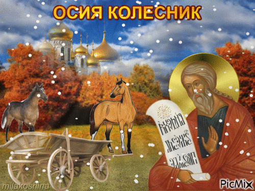 Картинки и открытки Осия Колесник. Осия Колесник - гифки