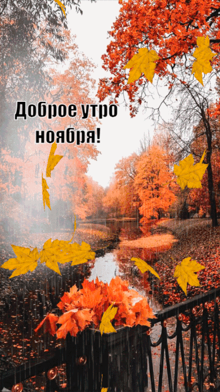 Красивые открытки и картинки с Добрым утром ноября. Доброе утро ноября - гифки