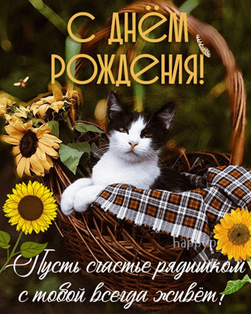 Картинки и открытки с днём рождения мамы. Гифки с днём рождения маме