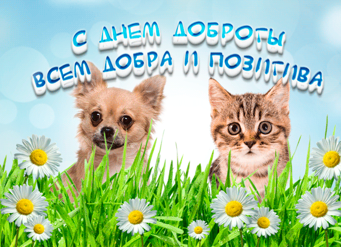 Картинки и открытки с Днем доброты. День доброты - гифки