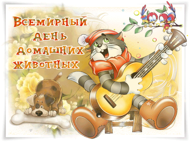 День домашних животных. Гифки с Днём домашних животных