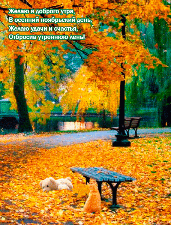 Красивые открытки и картинки с Добрым утром ноября. Доброе утро ноября - гифки