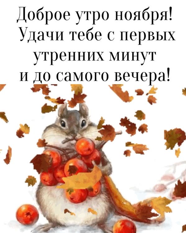 Красивые открытки и картинки с Добрым утром ноября. Доброе утро ноября - гифки