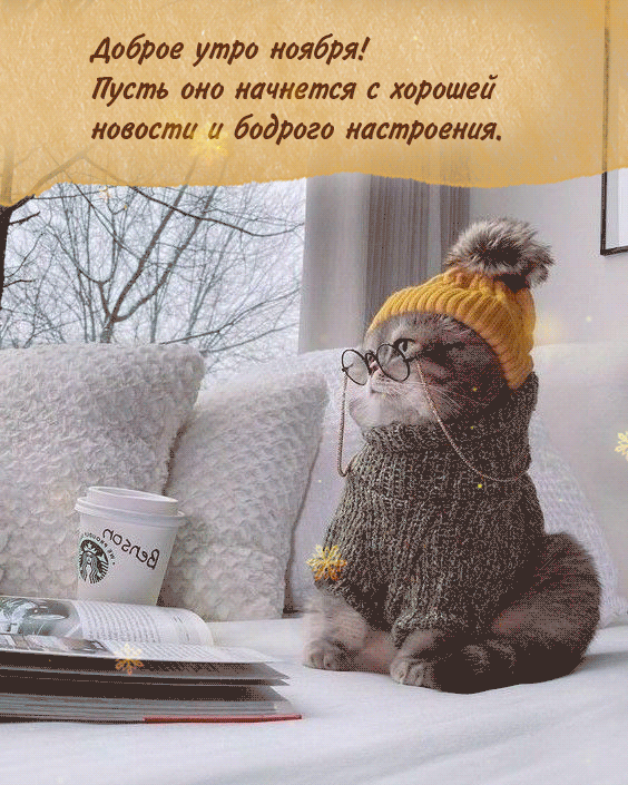 Красивые открытки и картинки с Добрым утром ноября. Доброе утро ноября - гифки