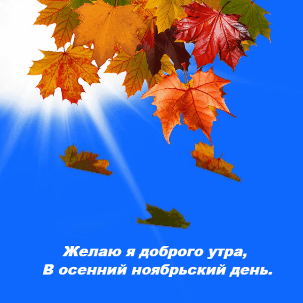 Красивые открытки и картинки с Добрым утром ноября. Доброе утро ноября - гифки
