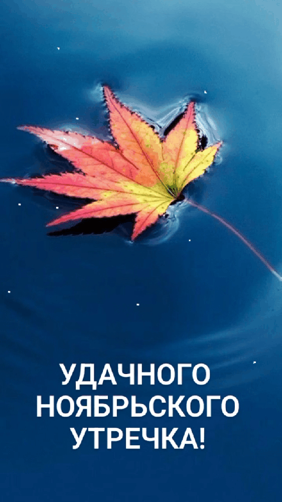 Красивые открытки и картинки с Добрым утром ноября. Доброе утро ноября - гифки