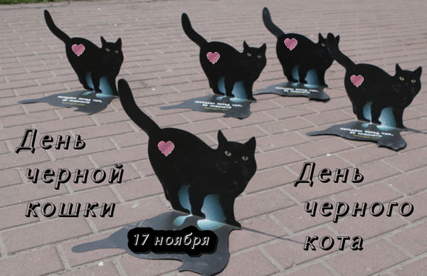 Картинки и открытки с Днем черной кошки. Гифки с Днем черной кошки