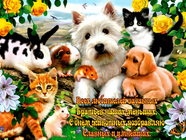 День домашних животных. Гифки с Днём домашних животных