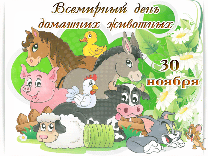 День домашних животных. Гифки с Днём домашних животных