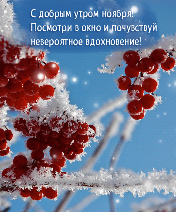 Красивые открытки и картинки с Добрым утром ноября. Доброе утро ноября - гифки