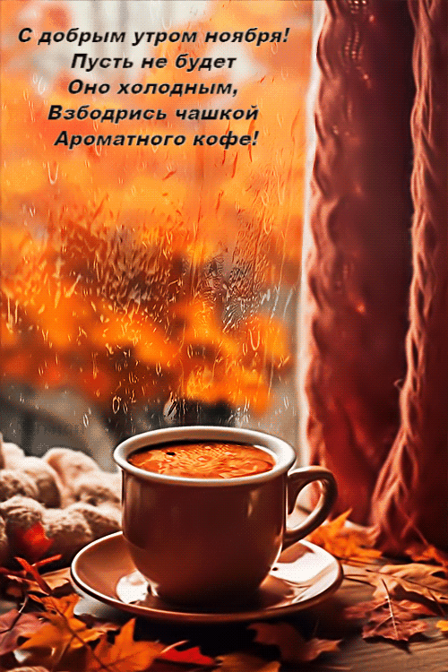 Красивые открытки и картинки с Добрым утром ноября. Доброе утро ноября - гифки