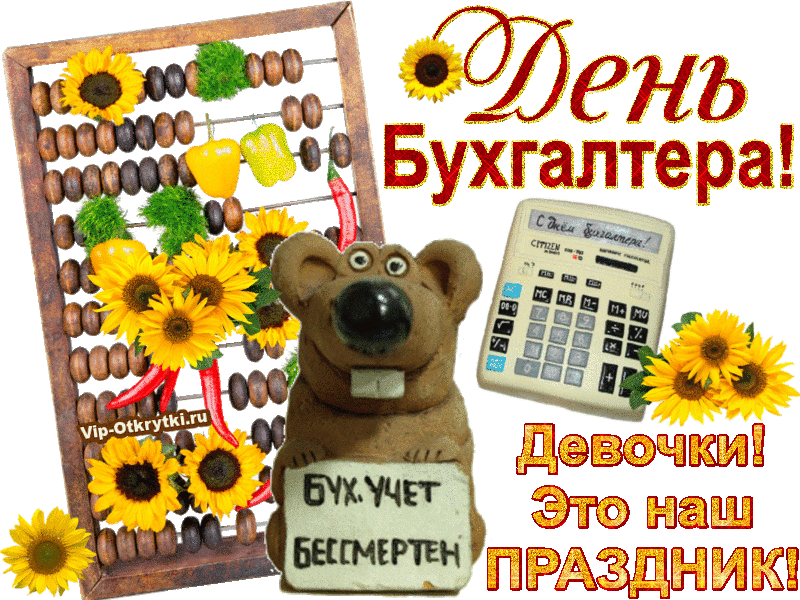 Картинки и открытки с Днем Бухгалтера. Картинки с надписями на День Бухгалтера