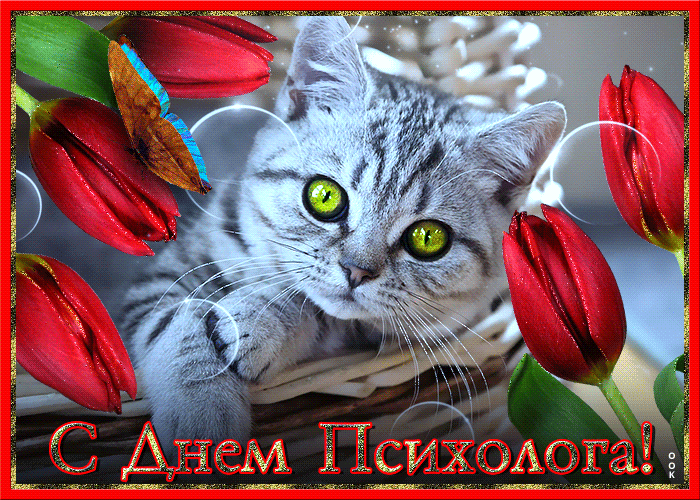 Картинки и открытки с Днем психолога. Гифки с Днём психолога