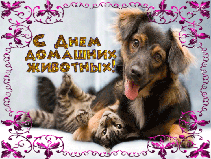 День домашних животных. Гифки с Днём домашних животных