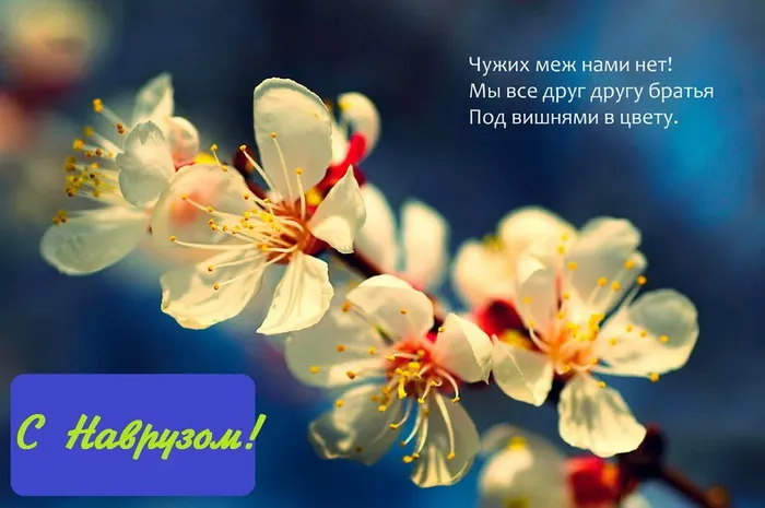 Картинки с праздником Навруз (120 открыток).