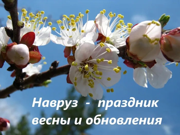 Картинки с праздником Навруз (120 открыток).