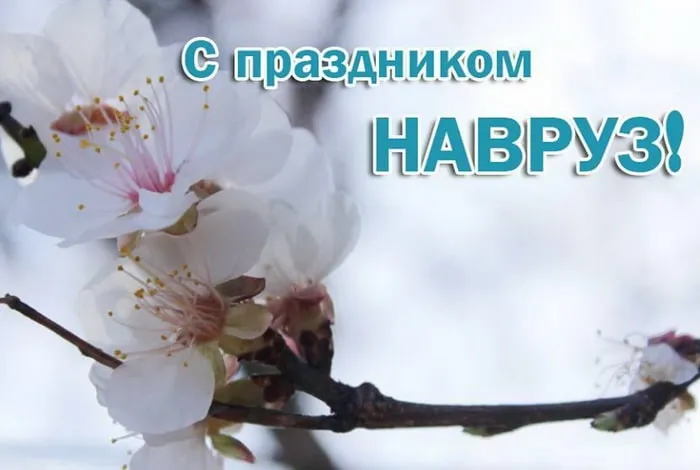 Картинки с праздником Навруз (120 открыток).