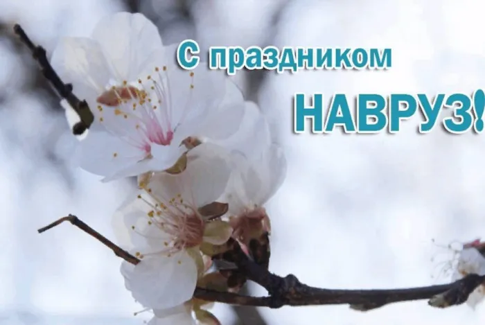 Картинки с праздником Навруз (120 открыток).