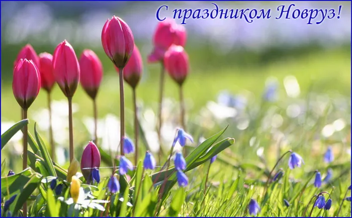 Картинки с праздником Навруз (120 открыток).