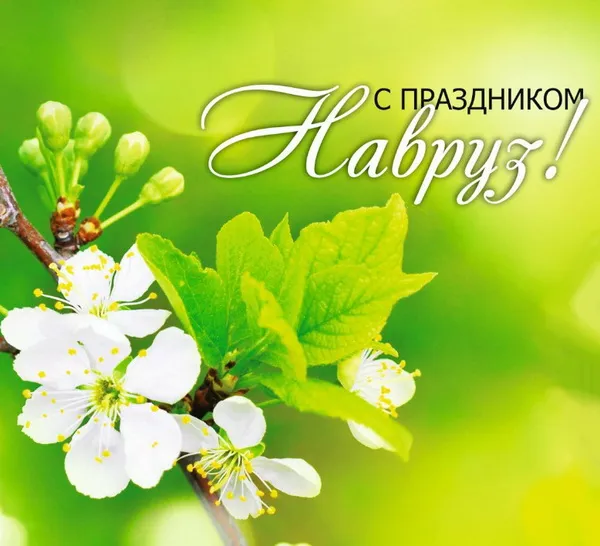 Картинки с праздником Навруз (120 открыток).