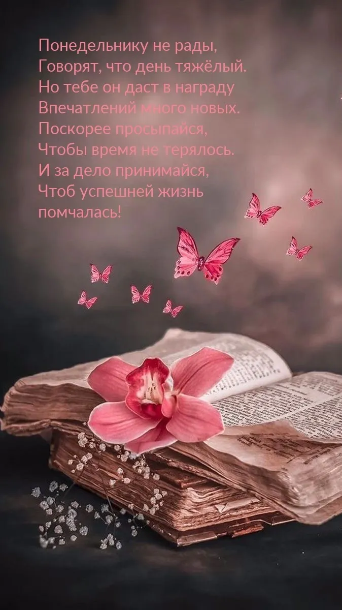 Красивые открытки и картинки Добрым утром понедельника.