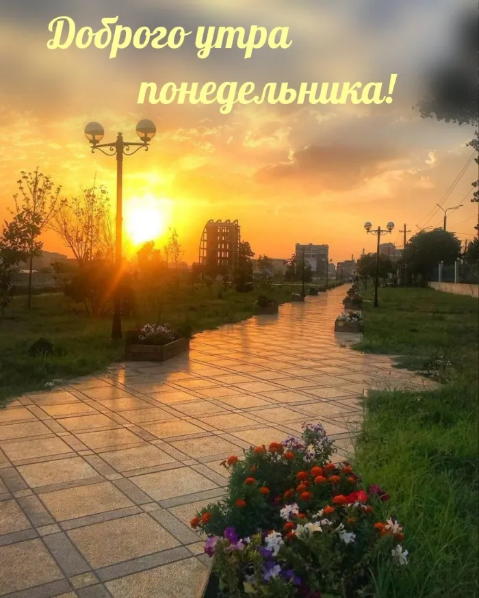 Красивые открытки и картинки Добрым утром понедельника.