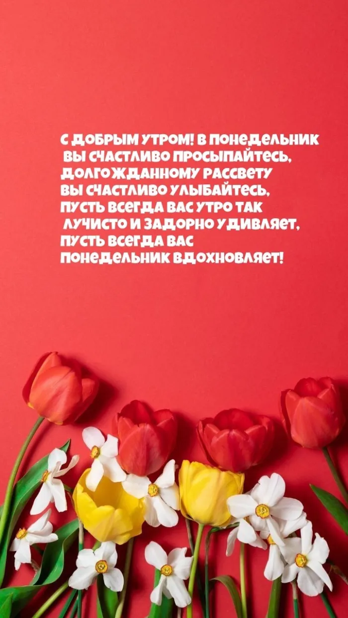 Красивые открытки и картинки Добрым утром понедельника.